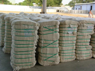 Raw Cotton Shankar-6