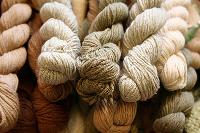 Organic Cotton Yarn