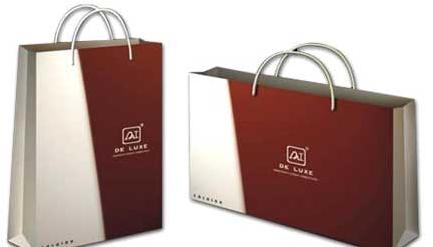 Promotional Paper Bag