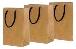 Recycled Paper Bags