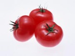Fresh tomato, Storage : Refrigerate