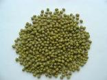 Green Mung Bean, Purity : 99.9%