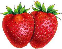 Fresh Strawberry