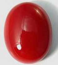 Red Coral Stone