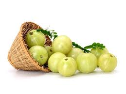 Gooseberry, Packaging Type : Basket for Cool, Dry Place