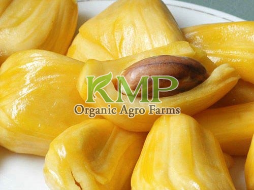 Fresh Jackfruit, Packaging Type : Jute Bag, Net Bag, Plastic Bag