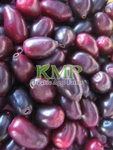 Organic Fresh Jambul, Grade : Superior