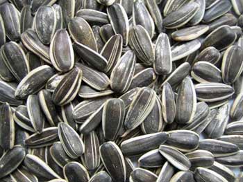 Sunflower seeds