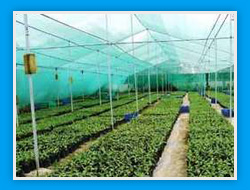 Agro Shade Net, Color : Green, Packaging Type : Roll