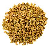 Fenugreek Seeds