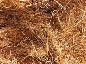 Coconut Husk Fiber