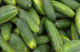 Cucumber, Packaging Size : 5-25kg