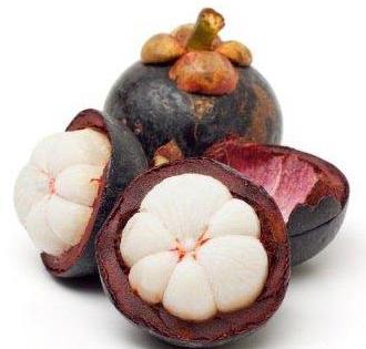 Garcinia Cambogia Extract