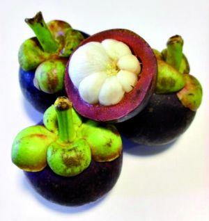 Mangosteen P.e