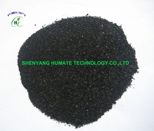 Seaweed Extract