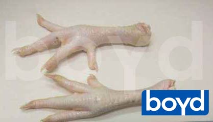 Frozen chicken, Boneless : No smell