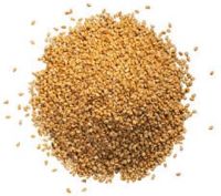 Food Grade Sesame Seeds, Seed Type : Natural 9%