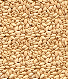 Hulled Sesame Seeds