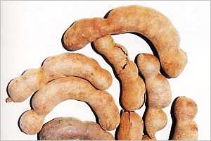 Tamarind Pods, Purity : 100%