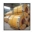 Steel Coils