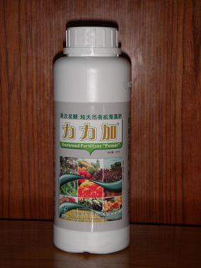 Seaweed Compound Fertilizer, Brand Name : BioPower