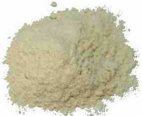 Light Beige Dehydrated Onion Powder, Packaging Type : Plastic Packet