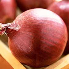 Red Onion