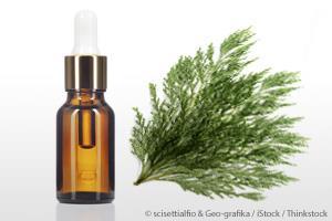 Light Yellow Liquid Cypress Oil, For Medicinal Purpose, Shelf Life : 3 Years