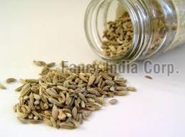 Fennel Seeds, Shelf Life : 12 Months