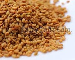 Organic Fenugreek Seeds, Packaging Size : 500gm, 5kg