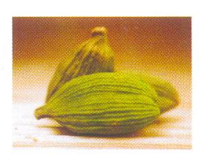 Cardamom