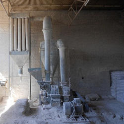 Plaster Of Paris Plant