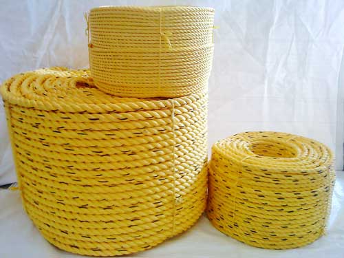 Danline Rope