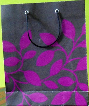 Printed Paper Carry Bags