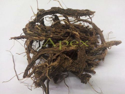 Coleus Forskohlii Root, Packaging Type : 25kg PP Bag