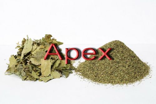 APEX Gymnema Sylvestre Powder, Packaging Type : 25kg PP Bag