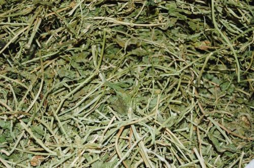 Common Passiflora Incarnata Herb, Packaging Type : Plastic Packet