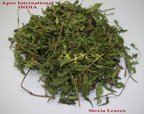 Stevia Leaves, Packaging Type : 25kg PP Bag