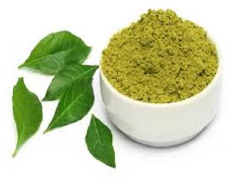 Great Quality Natural Henna Powder Manufacturer Exporter