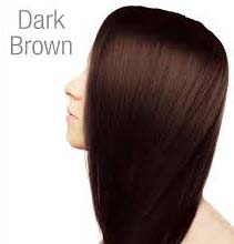 Herbal Henna Based Dark Brown, Form : Powder