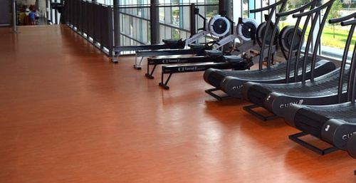 GYM, HEALTH CLUB FLOORS
