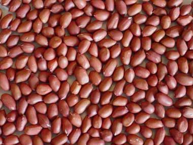 Groundnut Kernels