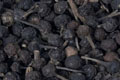 Black Pepper Oil