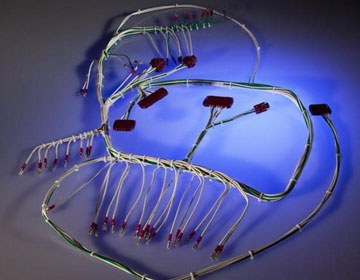 Medical Equipment Wiring Harness