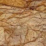 Tripura Stones Rainforest Marble Tiles