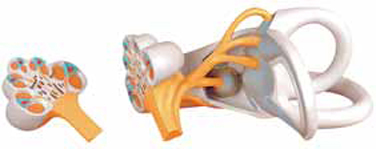 2 Part Labyrinth Model