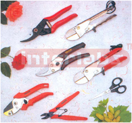 Pruning Secateurs