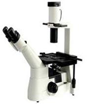 T200 Tissue Culture Microscope