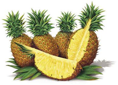 Fresh Pineapple