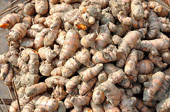 Turmeric finger, Packaging Type : Loose